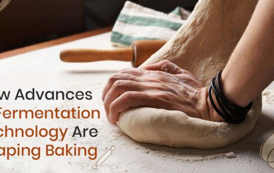 How Advances in Fermentation Technology Are Shaping Baking