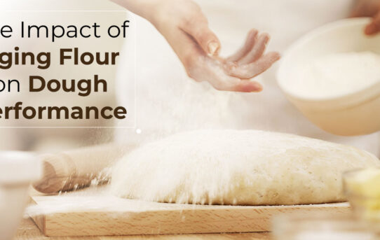 The Impact of Aging Flour on Dough Performance